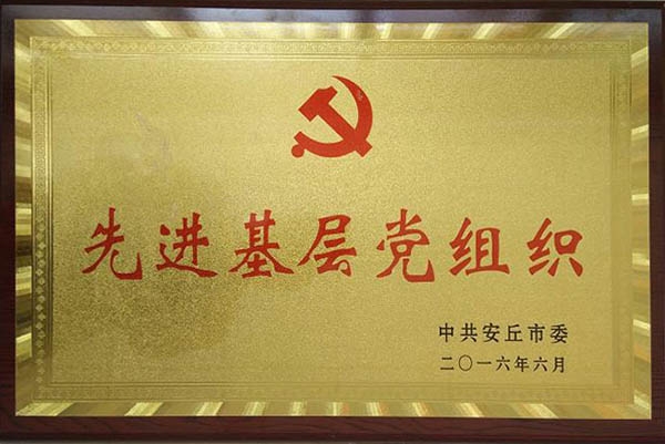 先进基层党组织